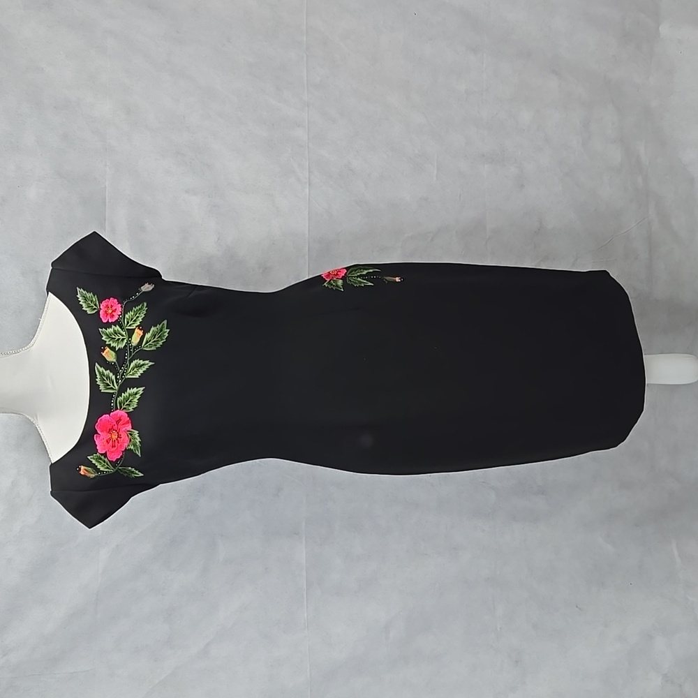 Maggie London dress